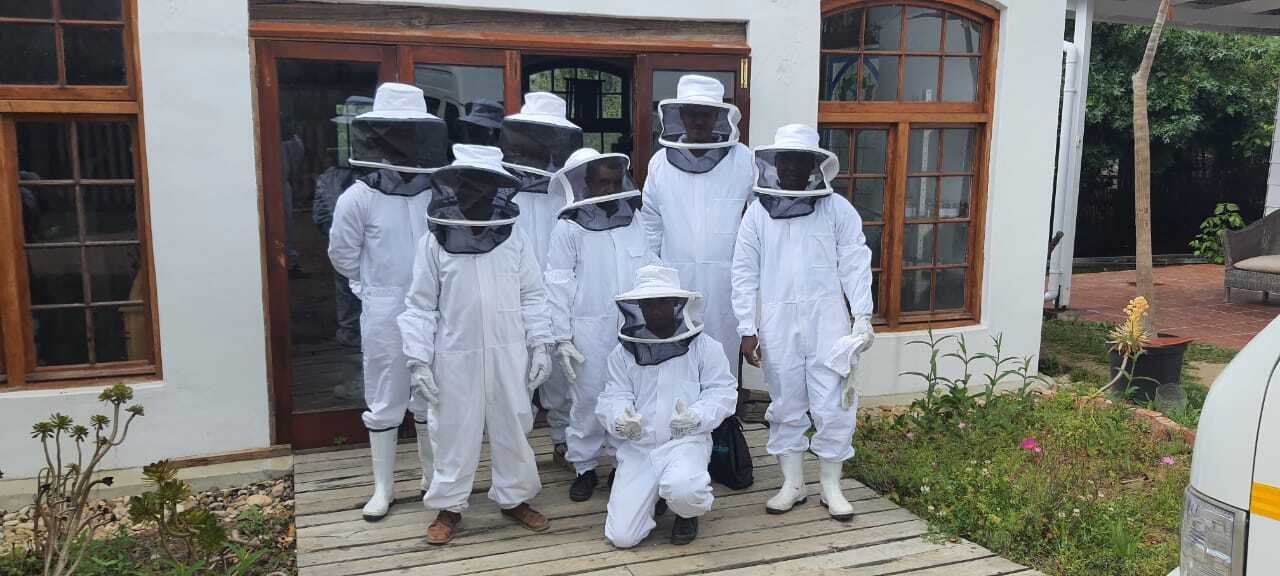 Beekeeping training participants in protective bee suits